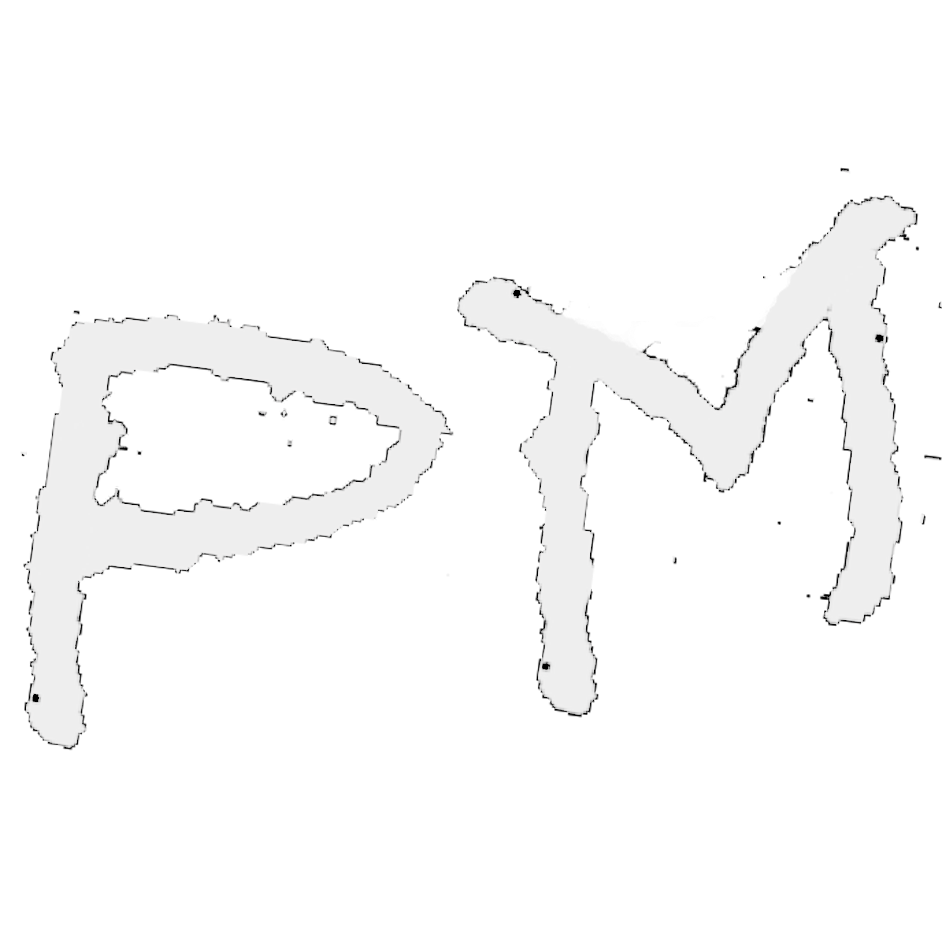 PM Logo